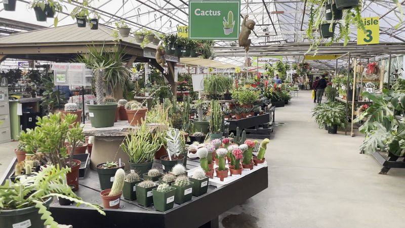 Gardening Classes and Workshops That Actually Stick