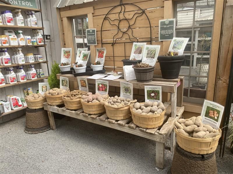 Gardening Essentials And Decor Gardening Essentials And Decor