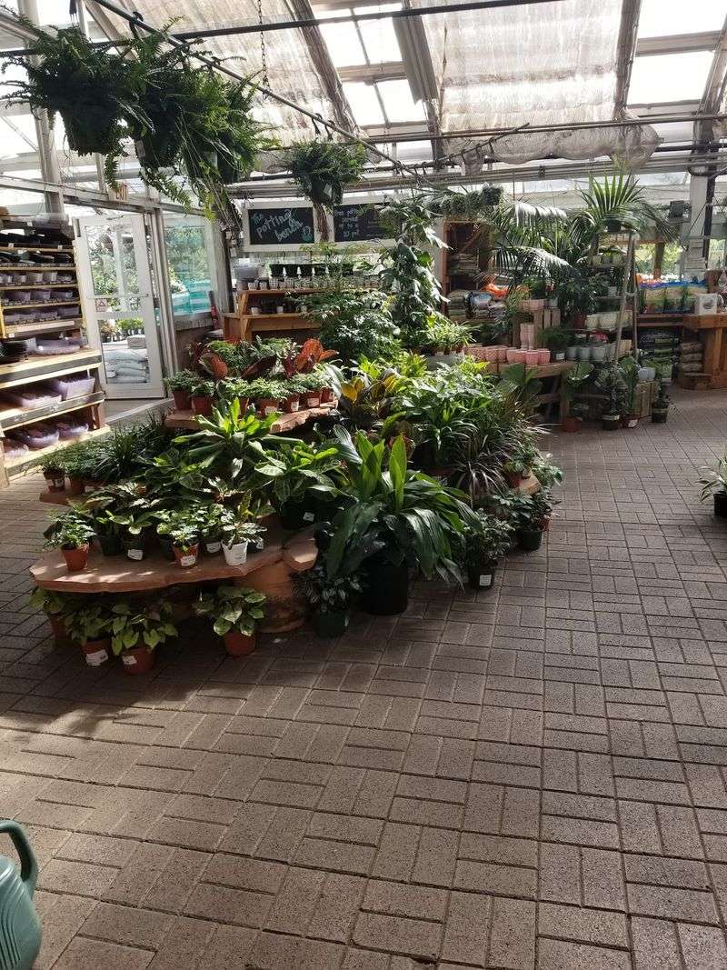 Gardening Workshops For Every Skill Level