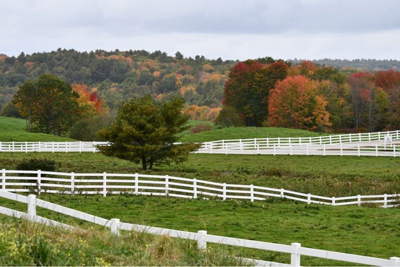 Gardens And Berry Fields Make A Strong Case For Returning