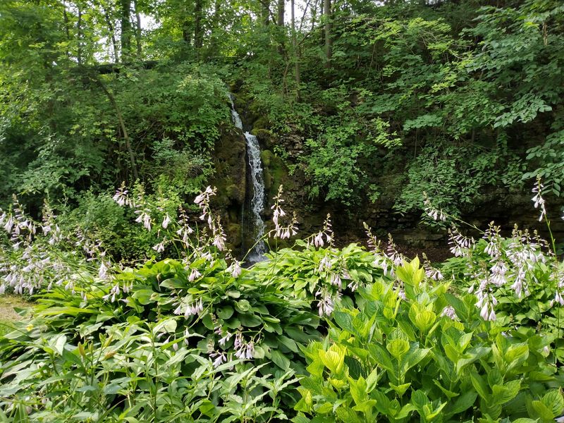 Gardens, Gazebo, And Creekside Seating
