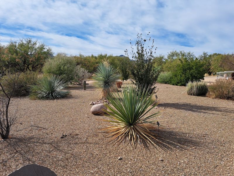 Gardens, Picnic Tables, And A Trail To Tumacacori