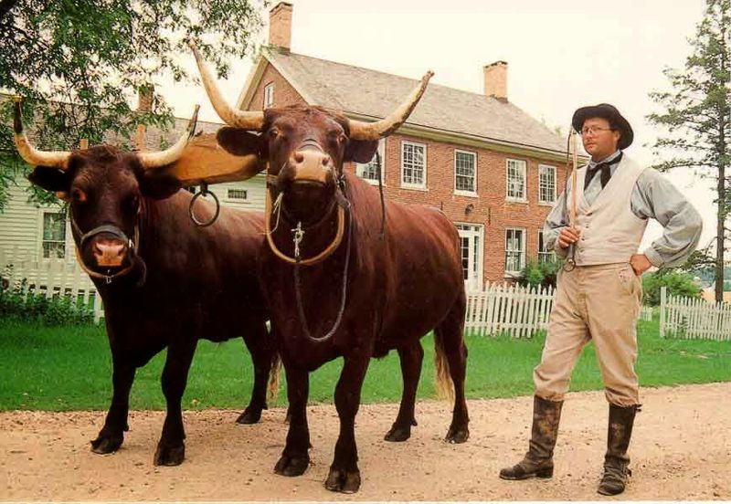 Garfield Farm Museum