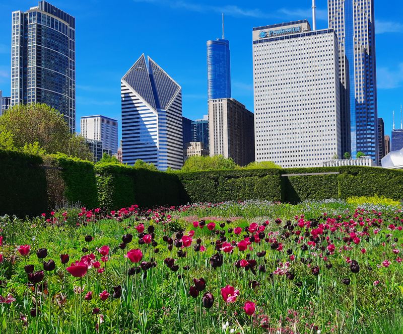 Lurie Garden at Millennium Park - 210 E Monroe St, Chicago, IL 60601