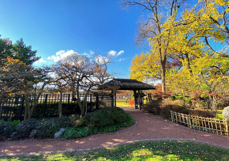 Osaka Garden On Wooded Island