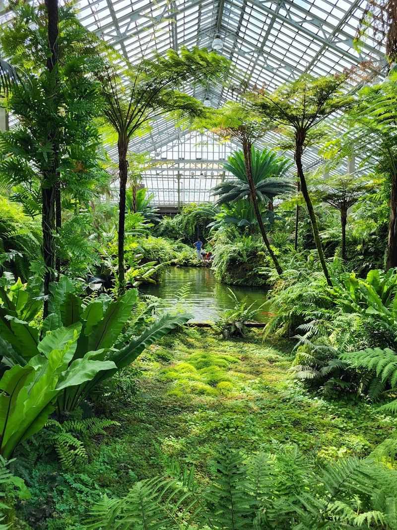 Garfield Park Conservatory, Chicago