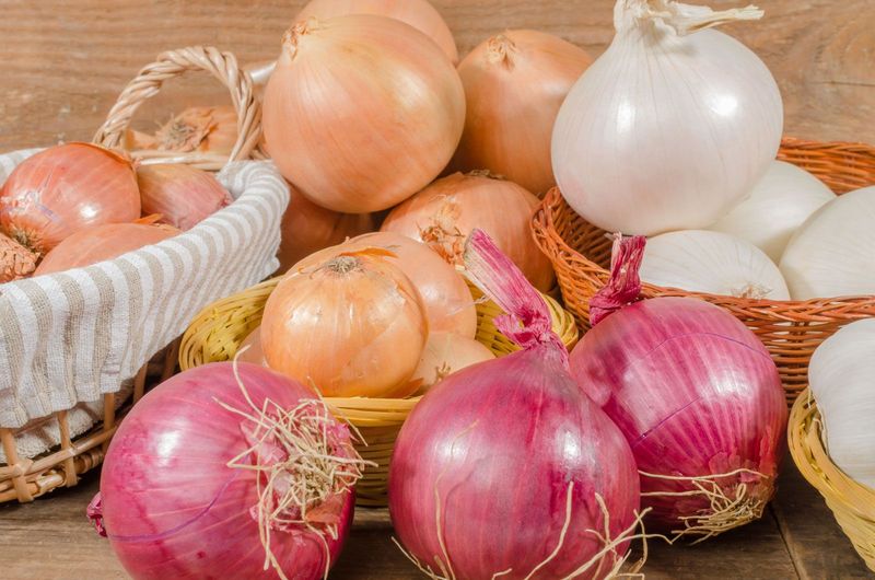 Onions: Layers of History