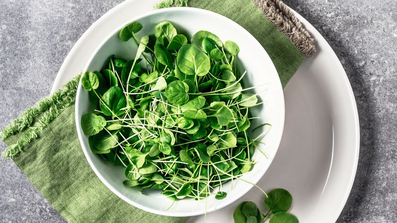 Watercress: The Underrated Superfood
