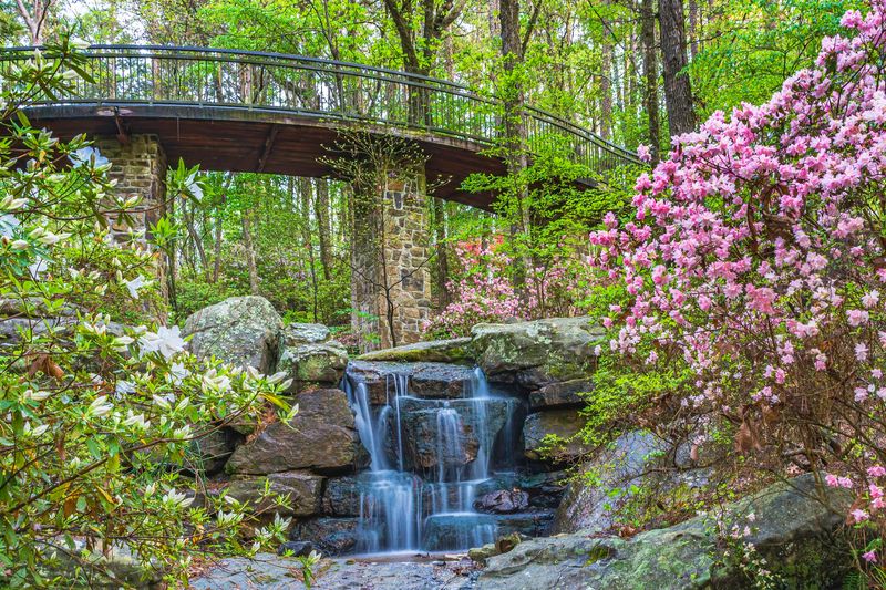 Garvan Woodland Gardens, Hot Springs