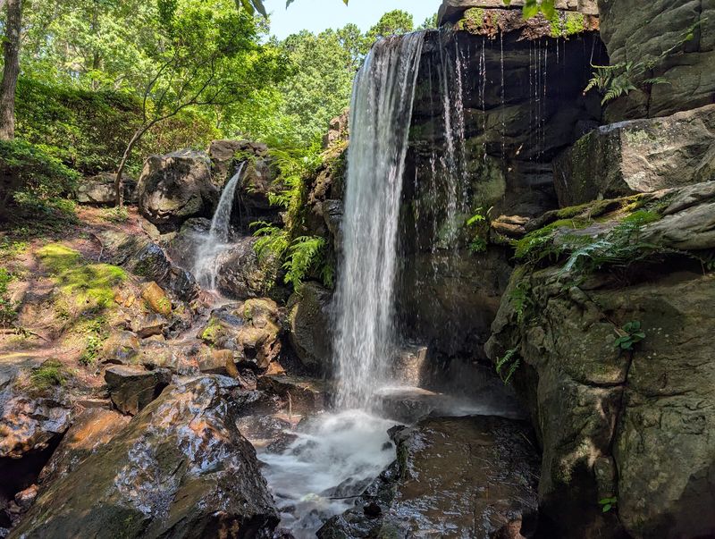 Garvan Woodland Gardens, Hot Springs