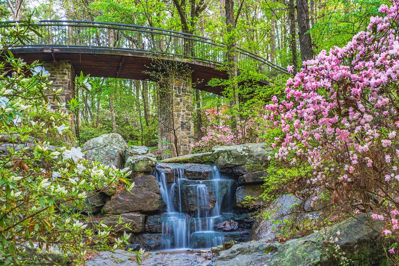 Garvan Woodland Gardens, Hot Springs