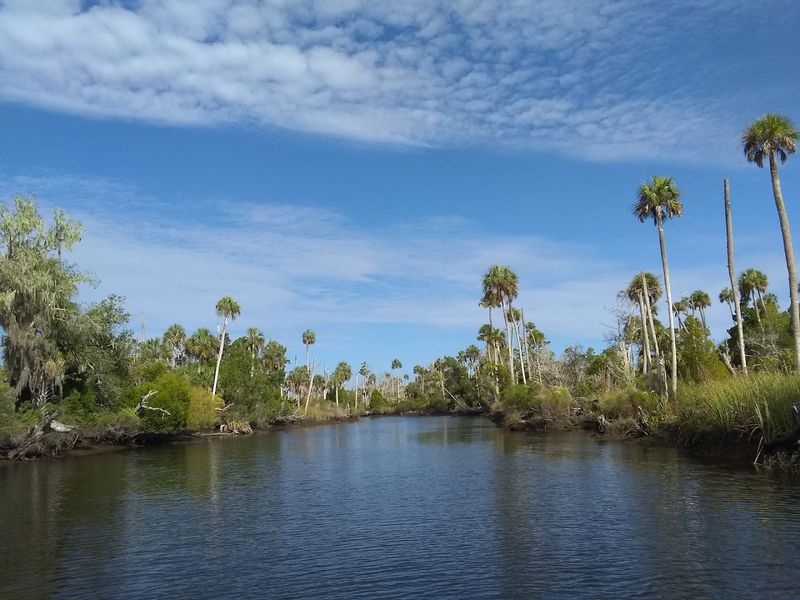 Waccasassa Bay Preserve State Park, Cedar Key