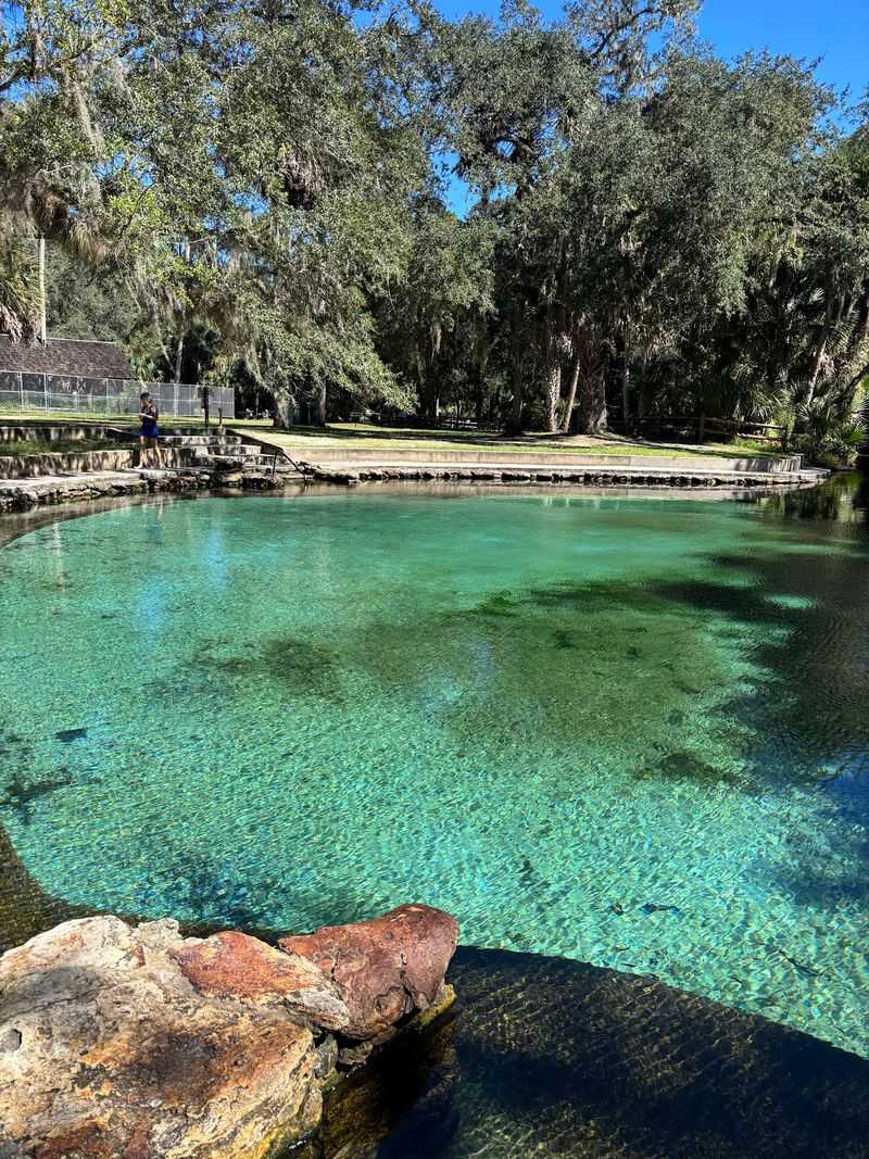 Gateway To Ocala National Forest