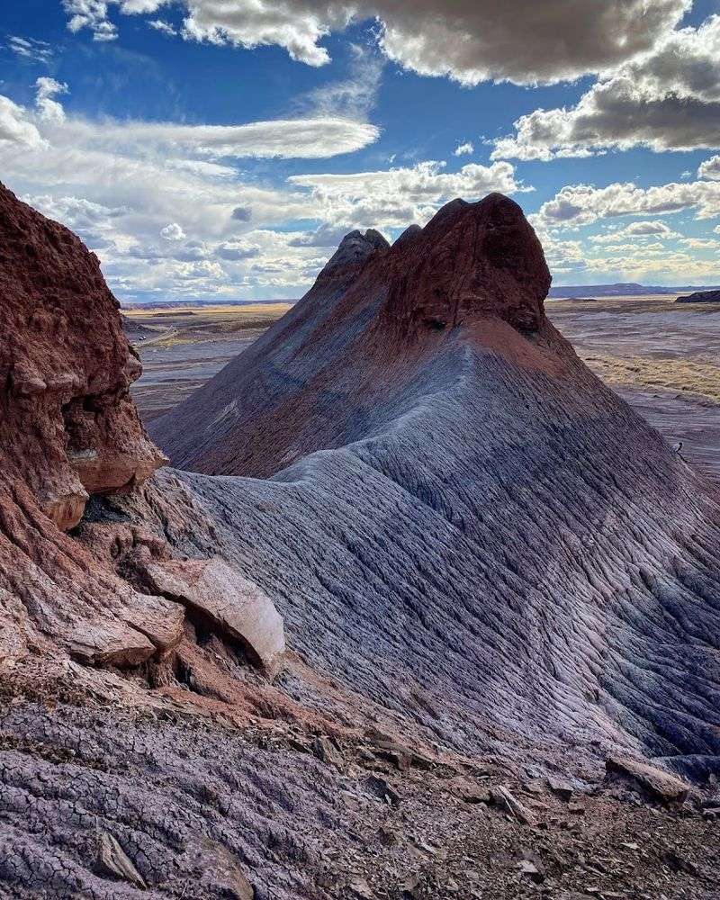 Gateway To Petrified Forest National Park