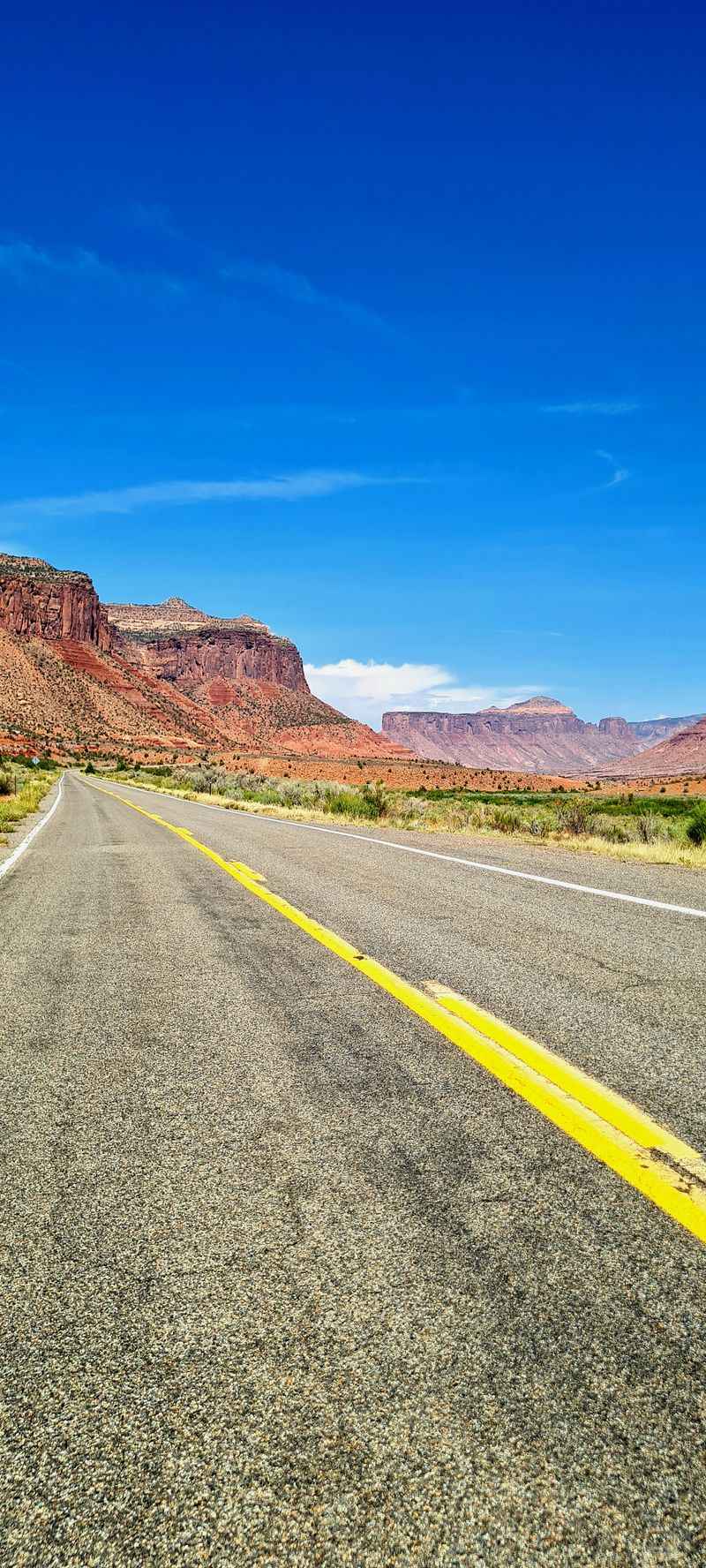 Fall Color Ribbon Near Unaweep Divide