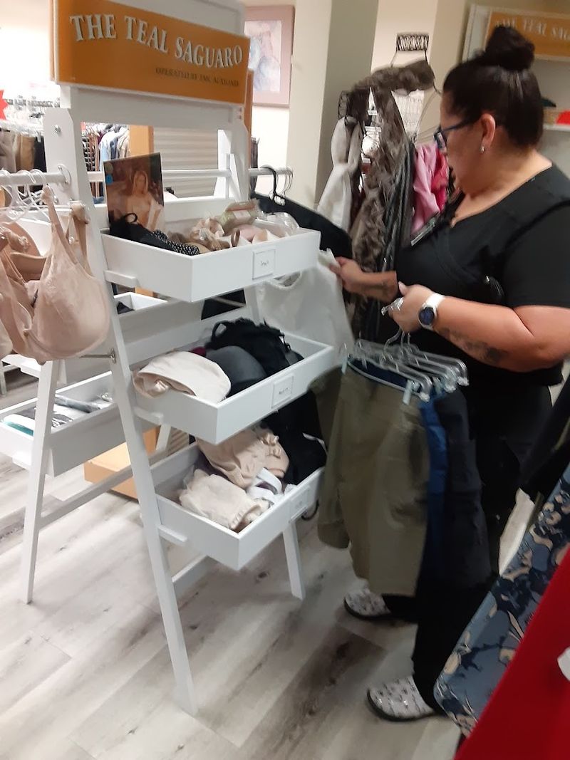 Teal Saguaro, Tucson
