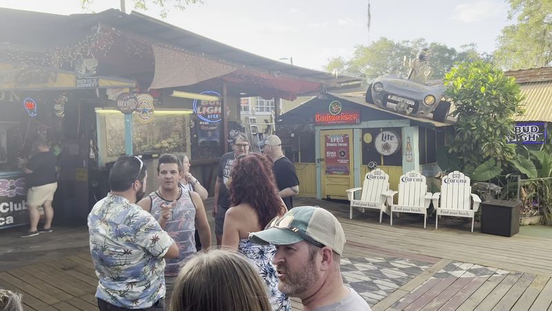 Gator Tail And True Florida Cooking