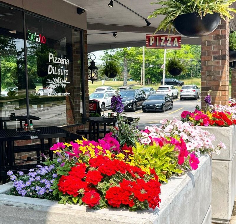 Pizzeria DiLauro – Chagrin Falls