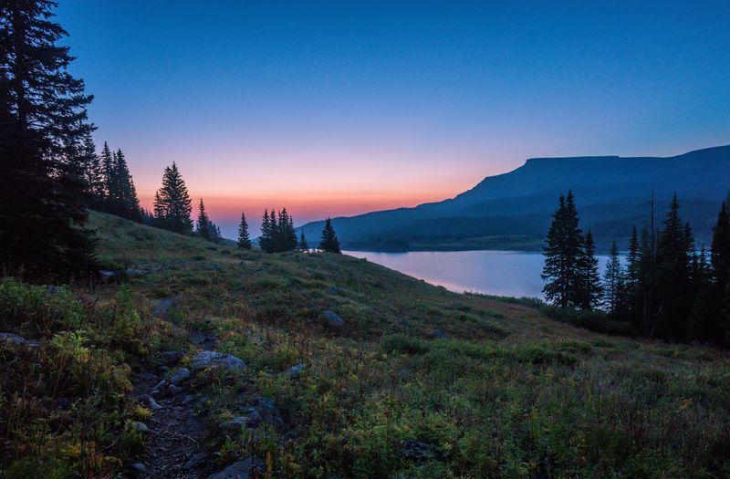 Camping in the Flat Tops: Stars, Silence, and a Few Bear Warnings