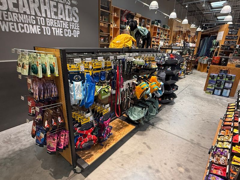 Gear That Will Make Your Hike Much Smoother Gear That Will Make Your Hike Much Smoother