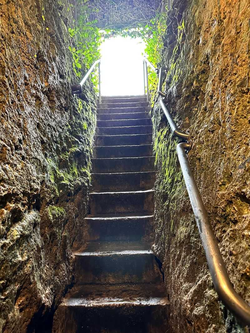 Safety, Accessibility, And Comfort