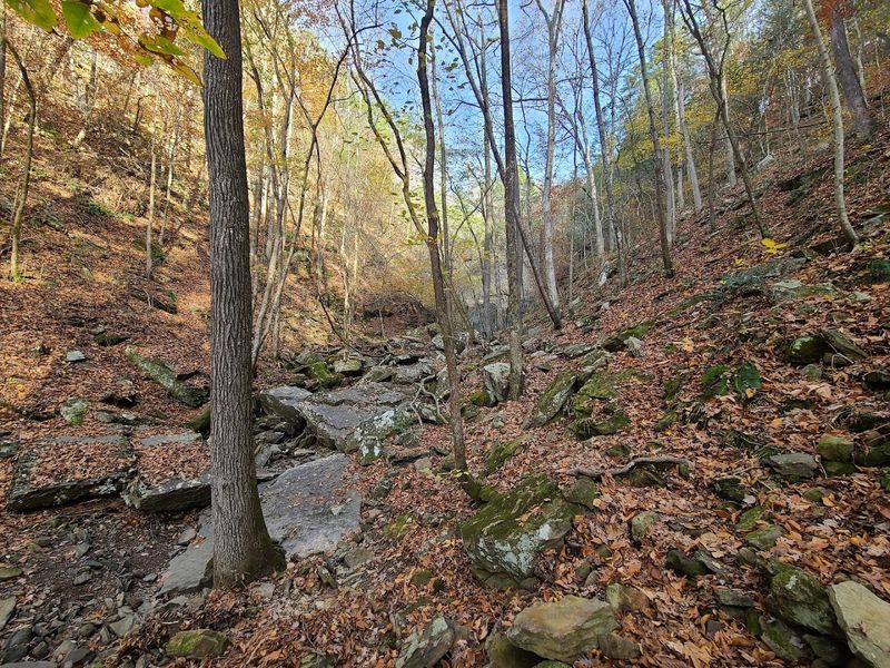 The Trailhead Moment That Changes Everything