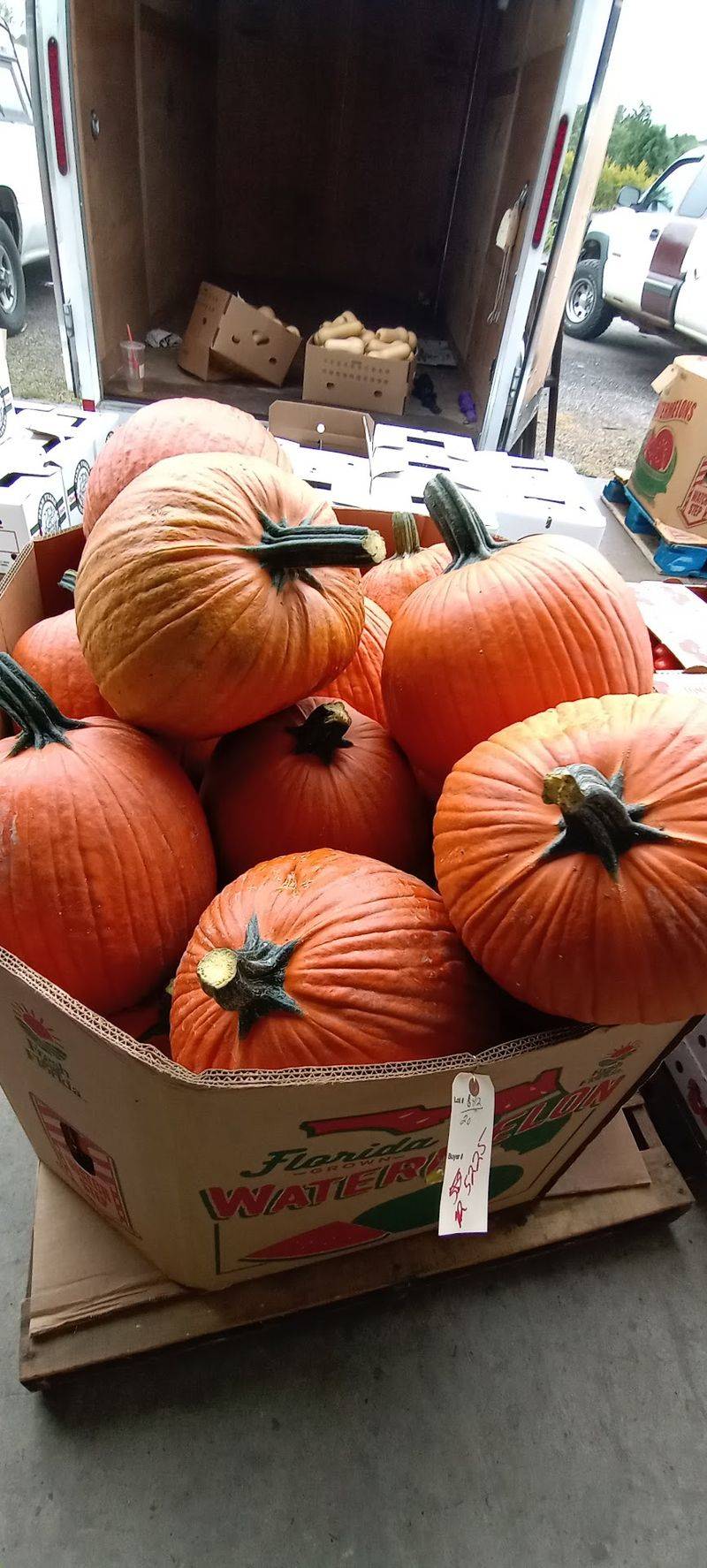 Geauga Growers Produce Auction, Middlefield