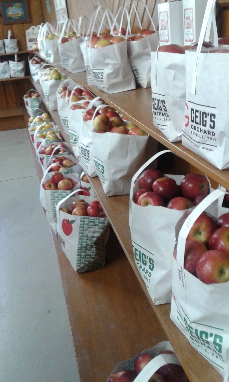 Geig's Orchard, Seville