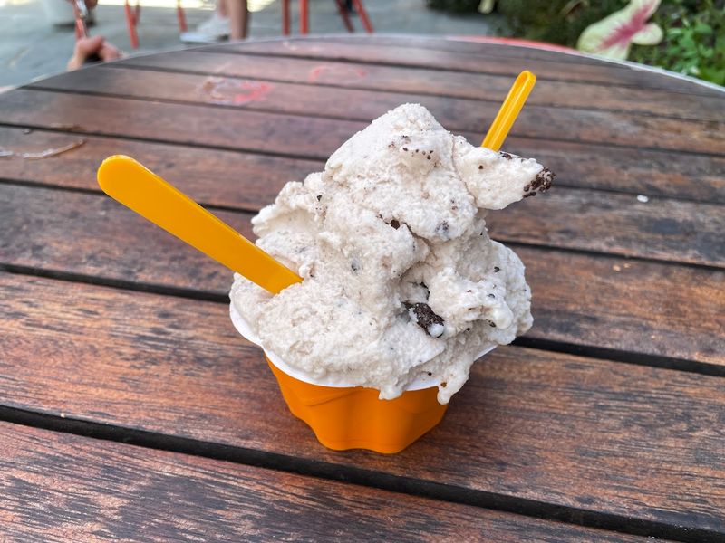 Gelato Makes The Visit Feel Extra Fun