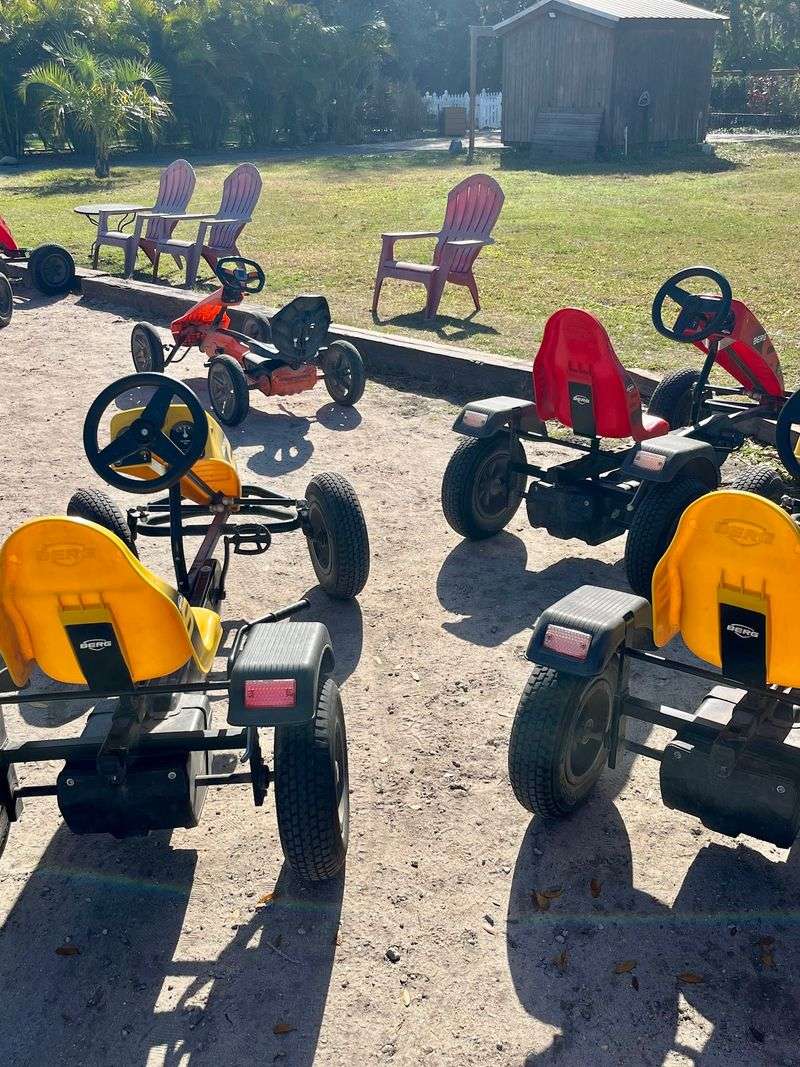 Gem Mining And Pedal Karts