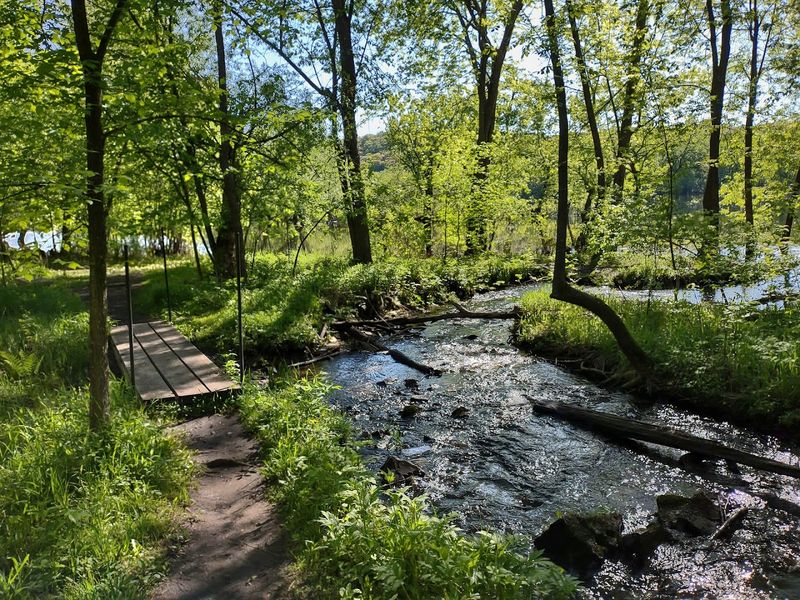 Marine Mill Site Ruins And River Pause