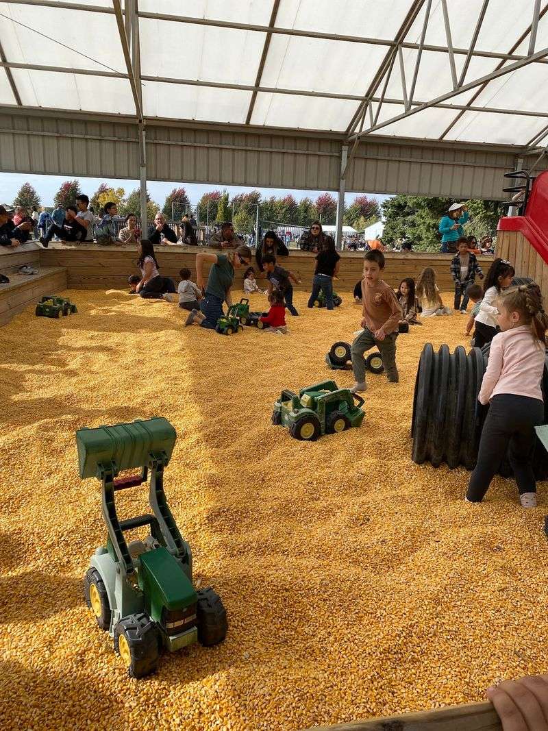 Generations Of Autumn Tradition