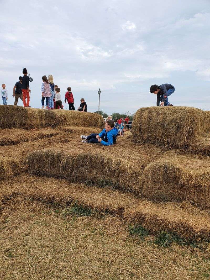 Generations Of Family Roots Grow Right Alongside The Corn