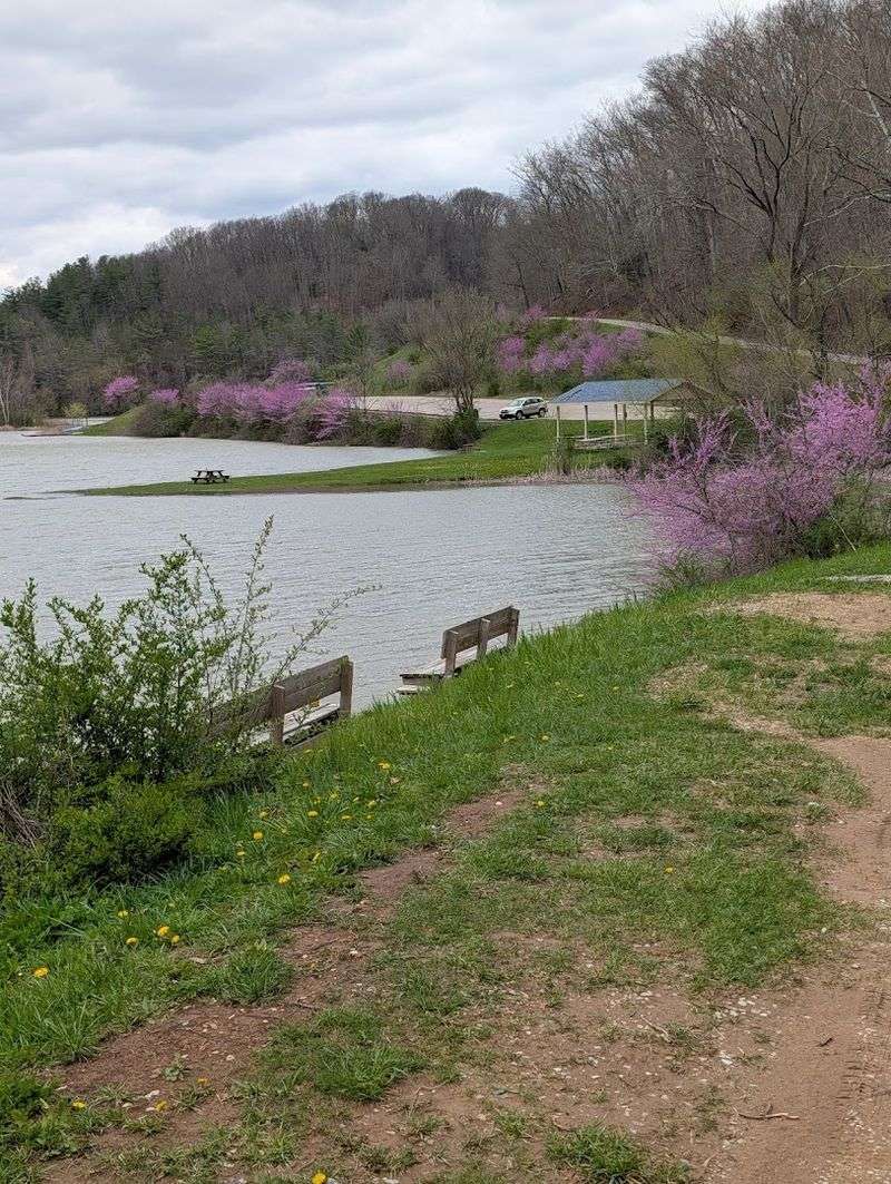 Strouds Run State Park, Athens, Ohio