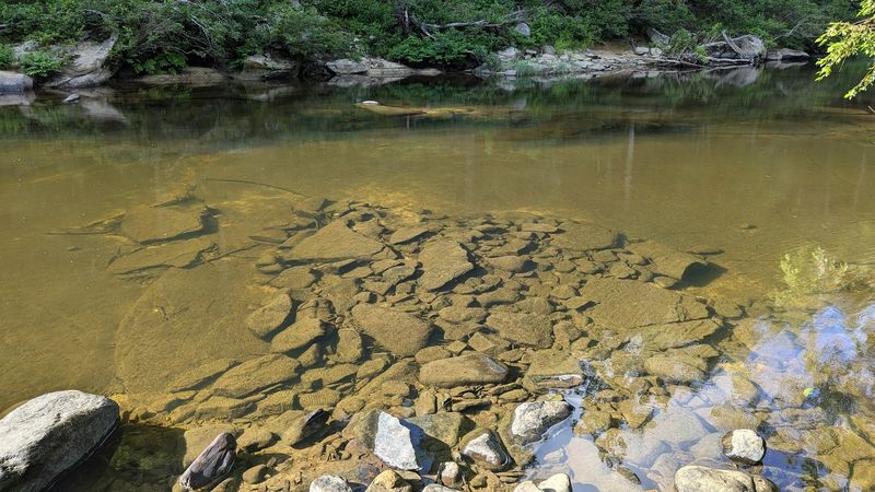 Gentleman's Swimming Hole At Big South Fork