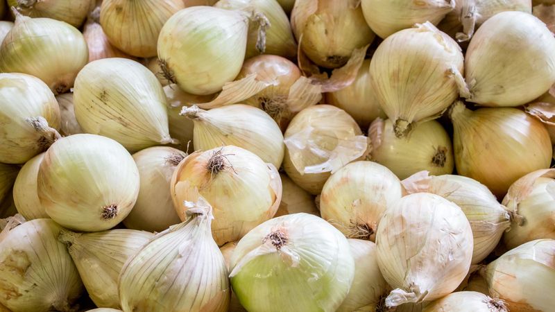 Walla Walla Sweet Onions: Tear-Free Flavor Bombs