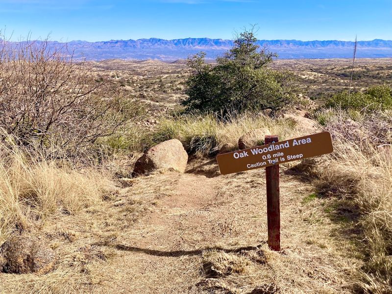 Geology Trail, Oracle State Park