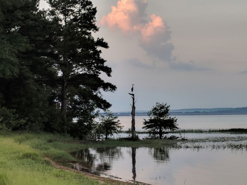 George T. Bagby State Park