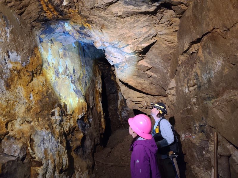 Final Verdict: What Makes This Tour Worth Your Saturday