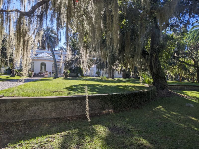 Sapelo Island Gullah-Geechee Oyster Roasts