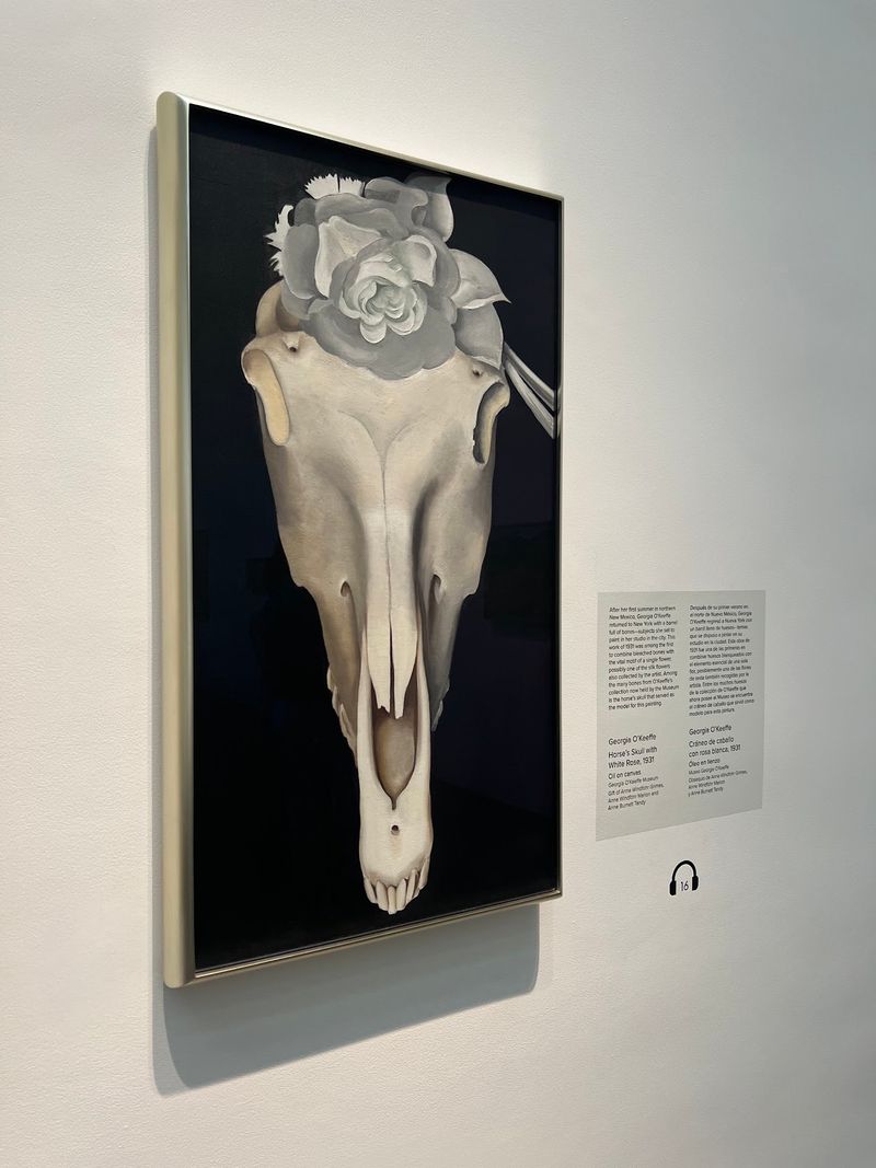 Georgia O'Keeffe Museum