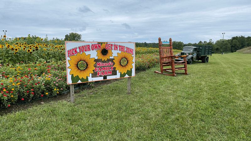 Get Happily Lost In The Corn Maze