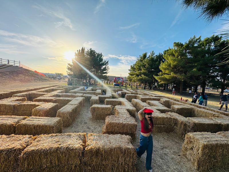 Get Lost In Alexander's Adventure Maze