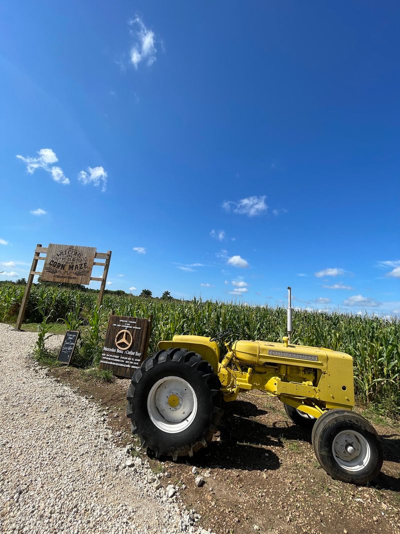 Get Lost In The Famous Corn And Hay Mazes Get Lost In The Famous Corn And Hay Mazes