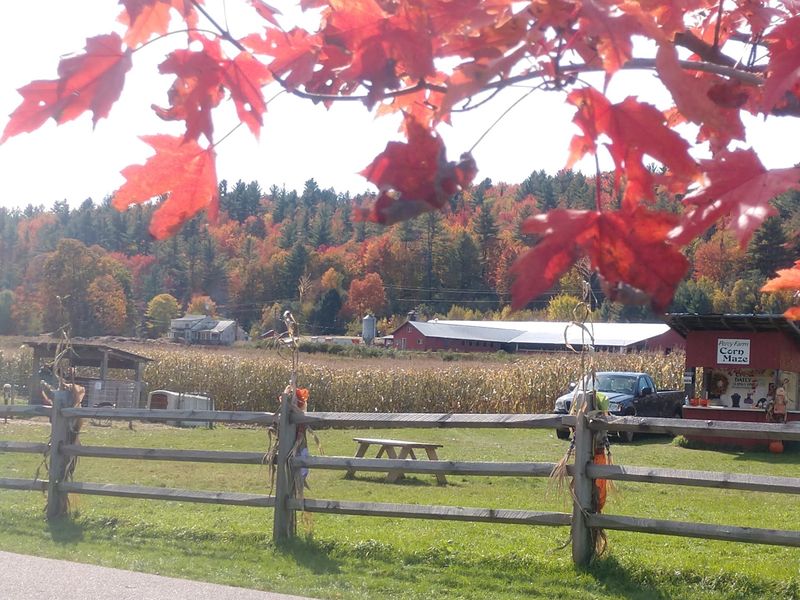 Getting Playful At Percy Farm Corn Maze And The Rec Path