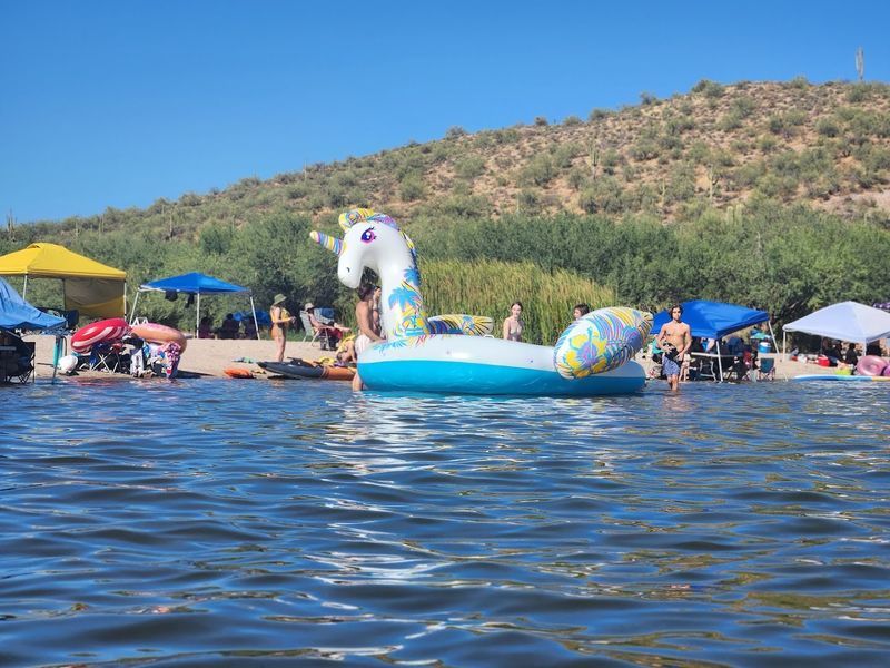 The Beach And Swimming Area