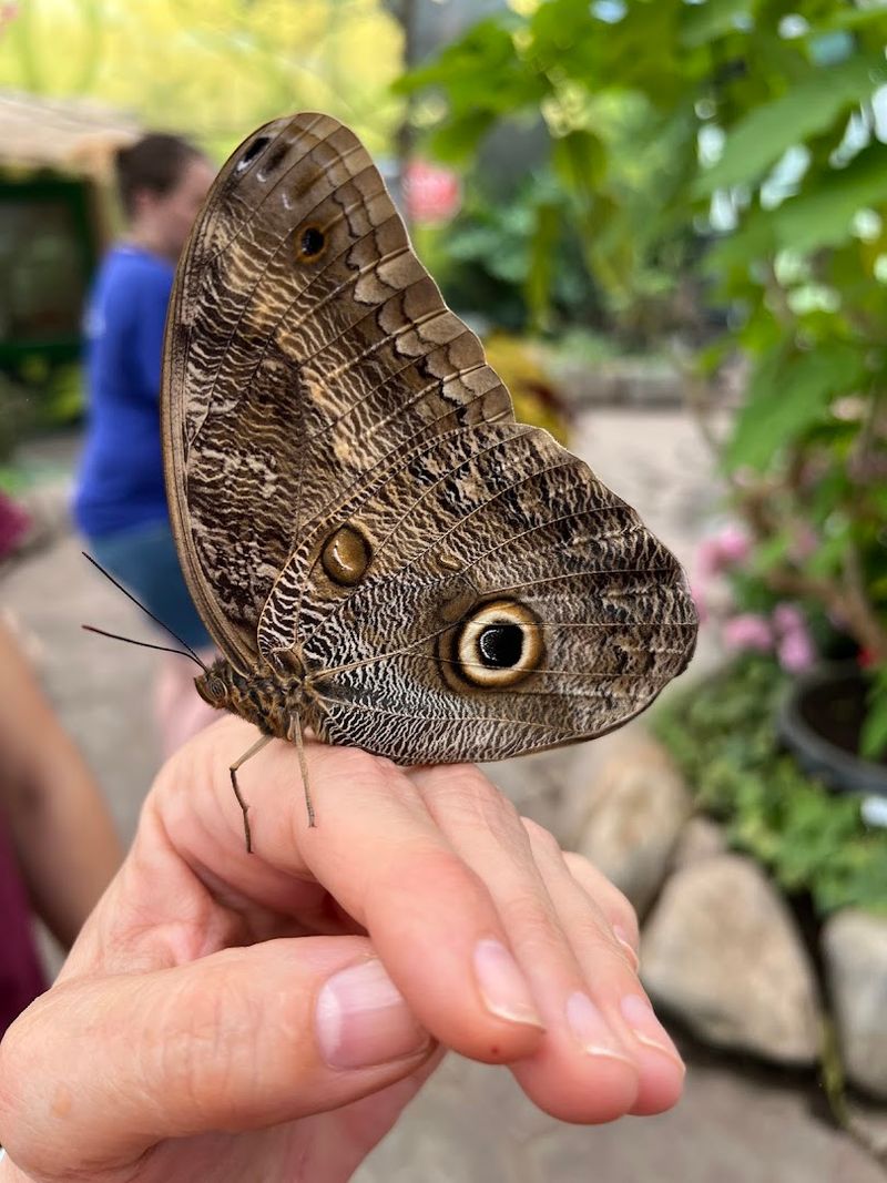 Gentle Handling With Paintbrushes
