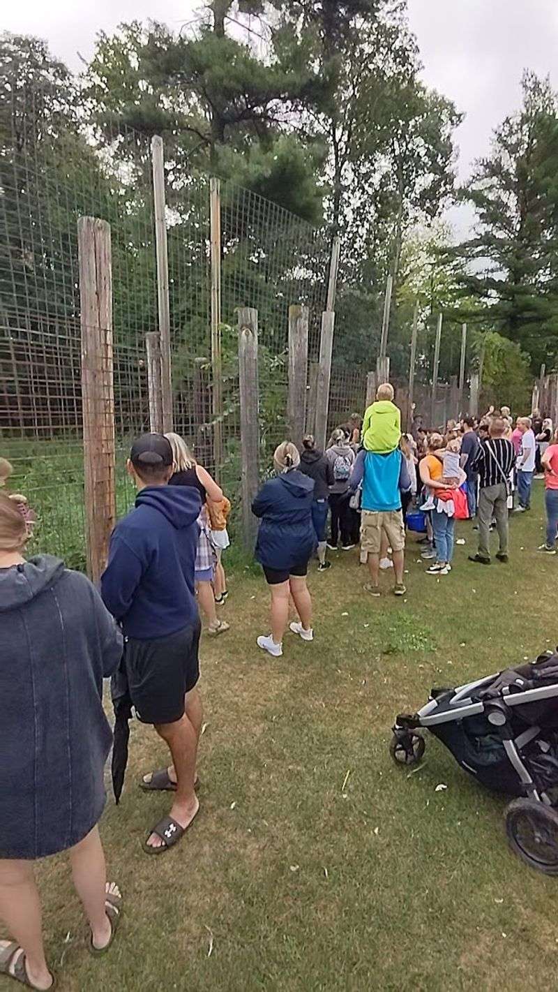 Paths, Terrain, And Pace