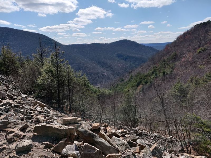 The Stream, The Springs, And The Bonus Scenery