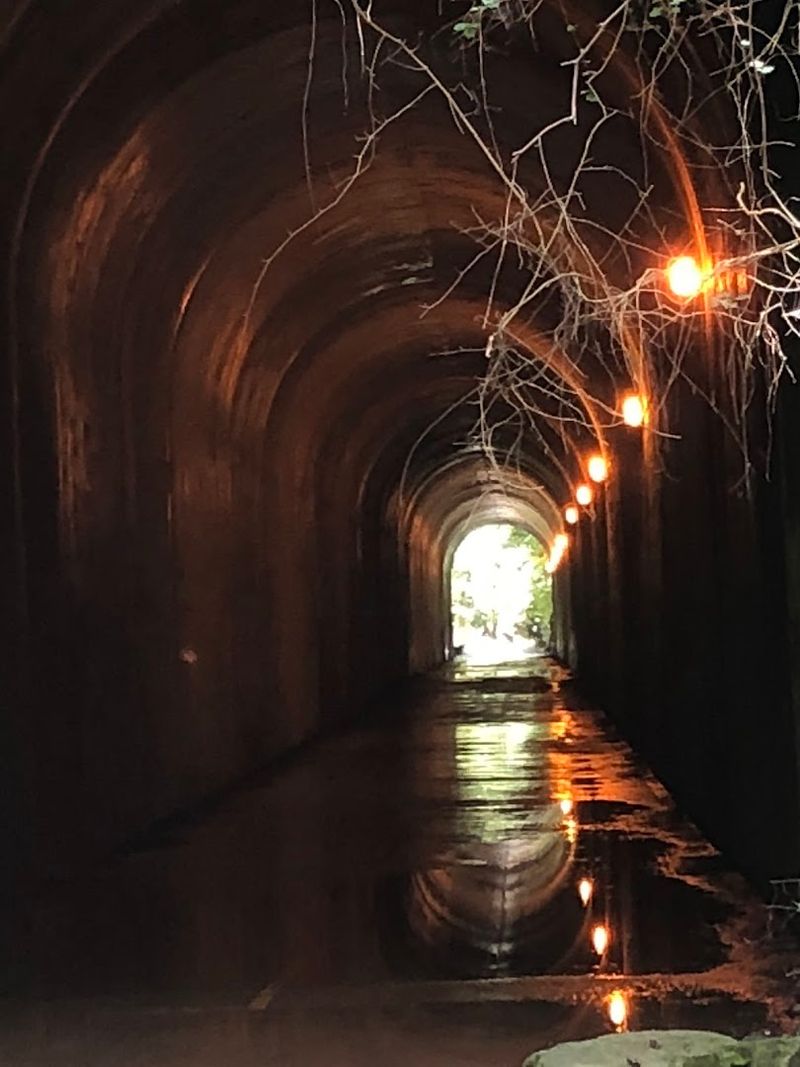 Where Daylight Becomes Optional